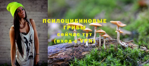 кокс Болотное