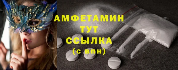 молекула духа Нягань