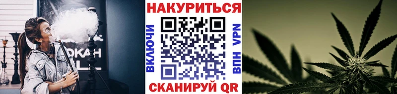 Каннабис Amnesia Порхов